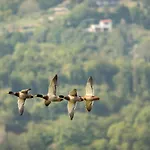 Dreistoeckiges In Einem Historischen Gebaeude By Interhome * Riva di Solto